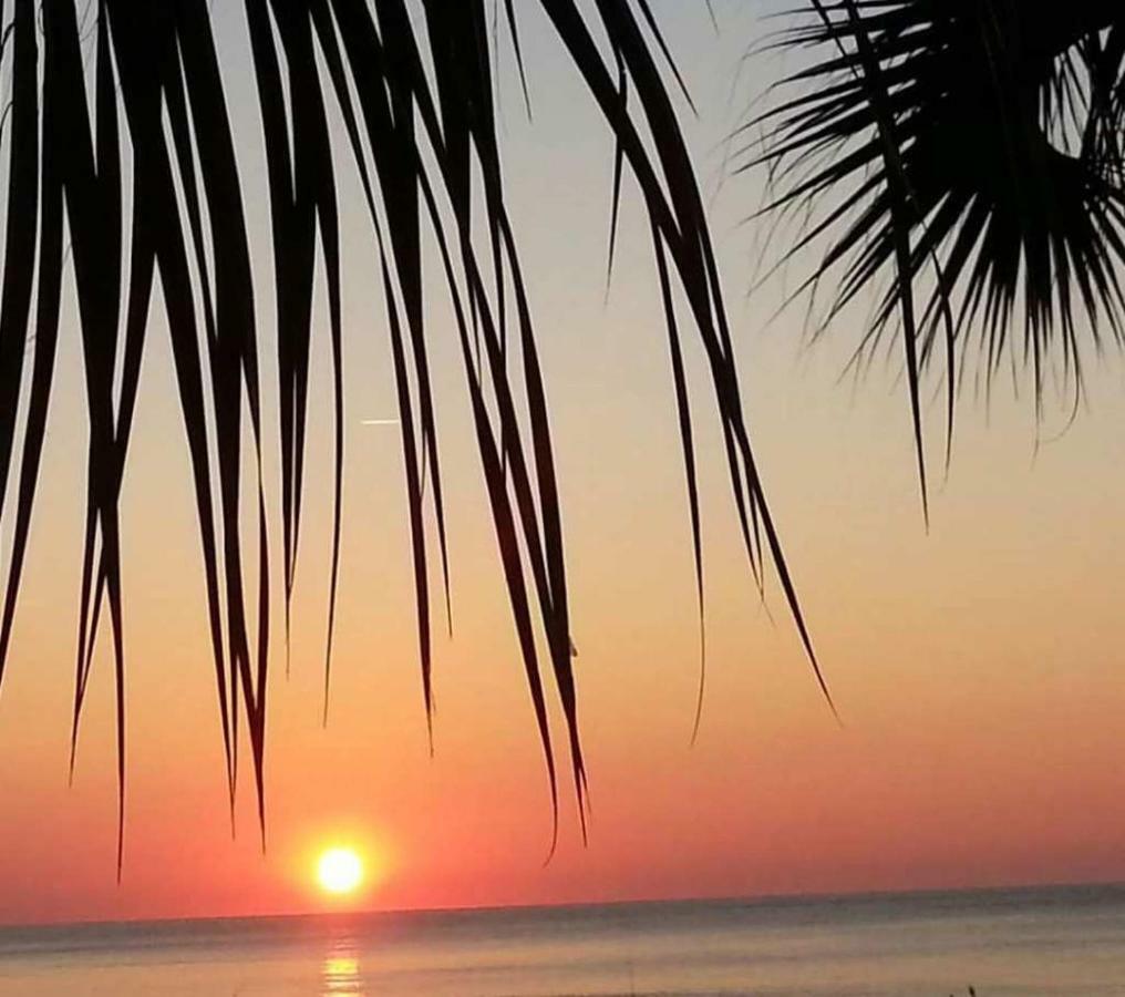 The Palms Resort-Oceanfront Myrtle Beach Bagian luar foto